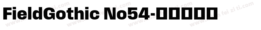FieldGothic No54字体转换